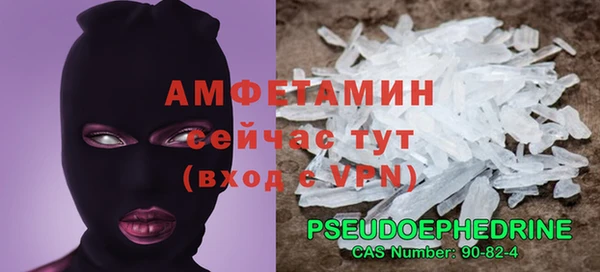 прущие грибы Балабаново