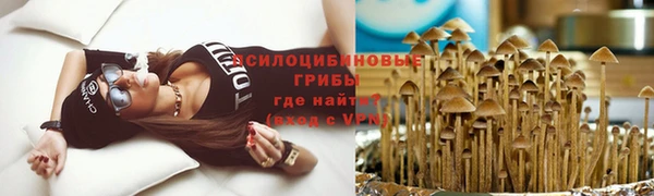 прущие грибы Балабаново