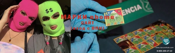 прущие грибы Балабаново