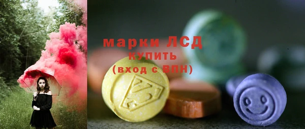 прущие грибы Балабаново