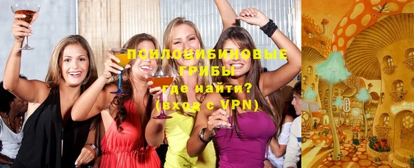 прущие грибы Балабаново