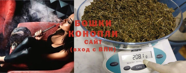 прущие грибы Балабаново