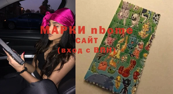 прущие грибы Балабаново