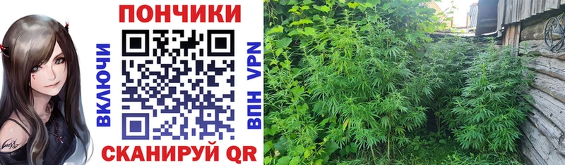 МАРИХУАНА LSD WEED Фрязино